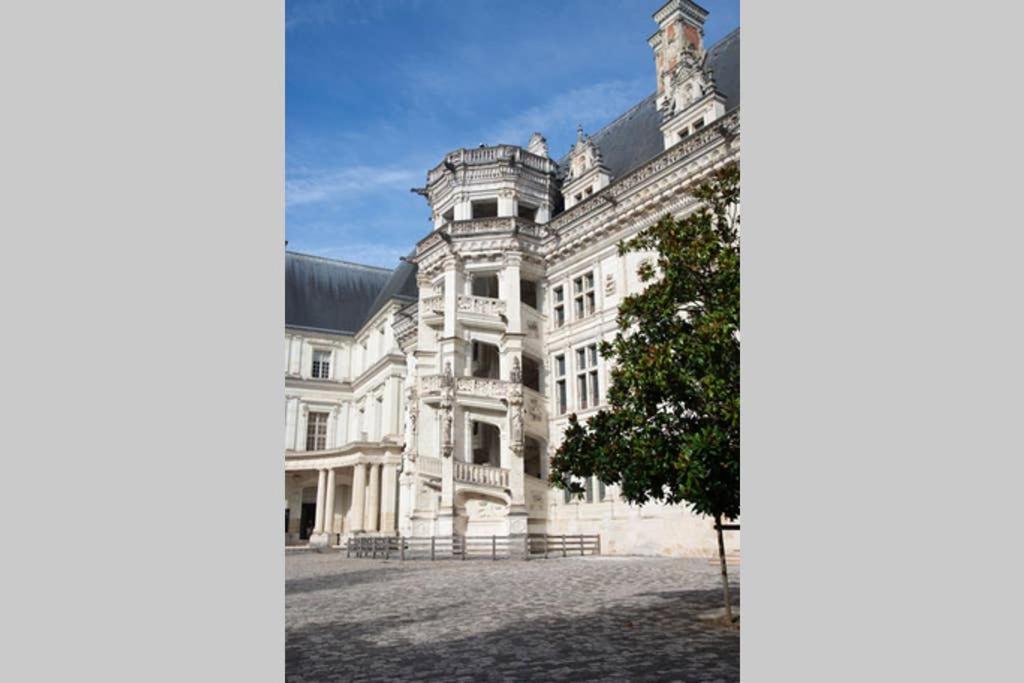 Appartement Quartier Cathedrale Blois Bagian luar foto